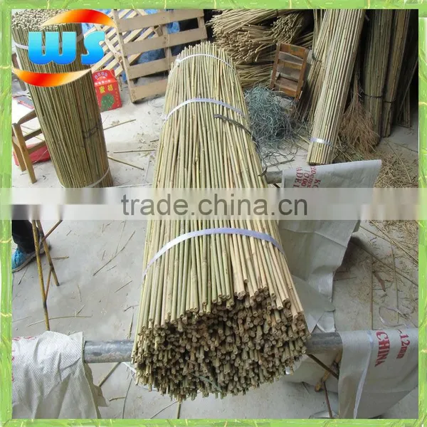 Bamboo Products/Support Plant Growing Bamboo Cane 120cm 8--10mm photo-2