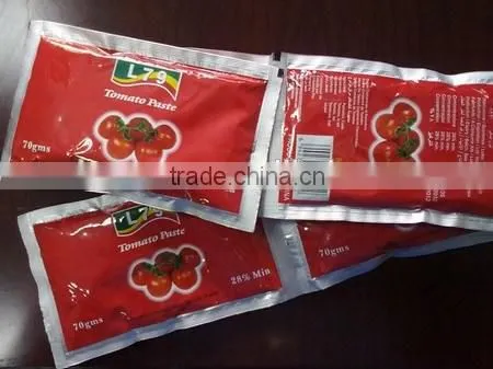 70g Canned Tasty Tomato Ketchup Manufacturer