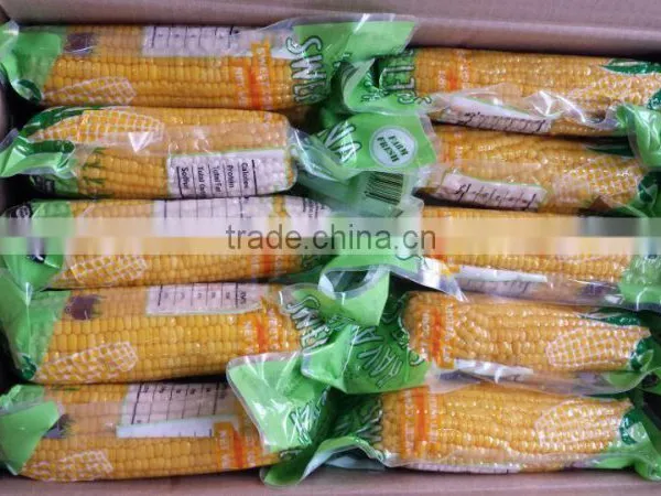 Sweet Corn in Vacuumed Pack photo-2