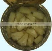 Canned Pieces Pineapple in All Sizes of Tin