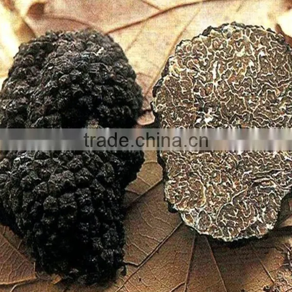 Chinese Black Truffle Price photo-2