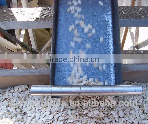 Inner Mongolia Shine Skin Pumpkin Seeds 10-11mm photo-2