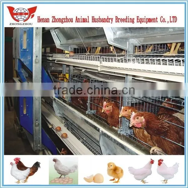 Whole Chicken Layer Cage Low Price photo-2