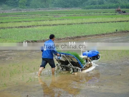 Rice Planting Machine and Prices photo-5