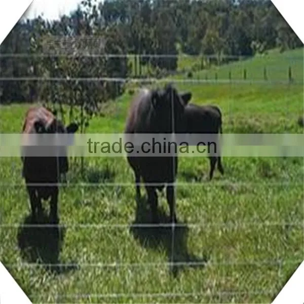 1.8m High Heavy Galvanized Sheep Fence / Galvanized Cattle Fence for Sale photo-5