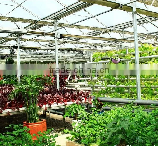 Anti-fog and UV-protection Garden Greenhouse,fiberglass Greenhouse Covering,commercial Hothouses photo-3