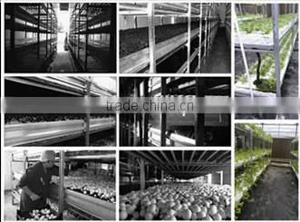 Greenhouse Aluminum Alloy Planting Bed, Watproof Aluminum Alloy Planting Bed photo-3