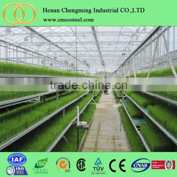 Small Single Tunnel Plastic Vegetable Greenhouse photo-5