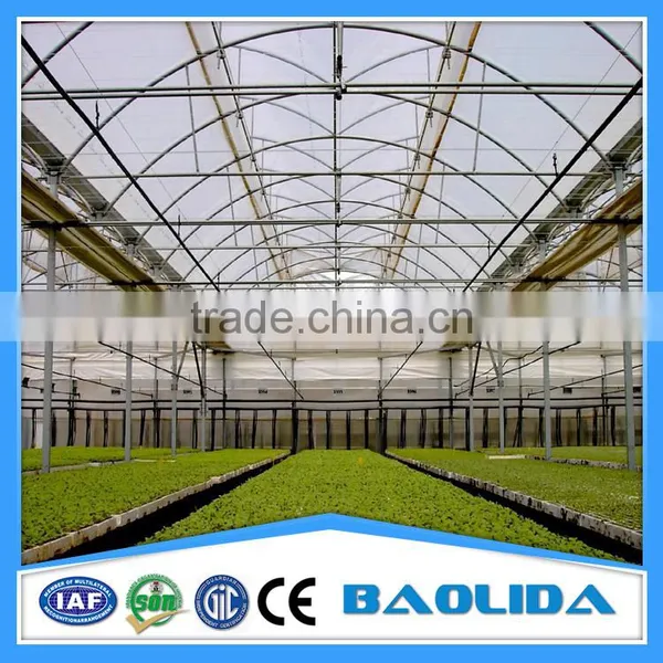 Cheap Multi-span Greenhouse photo-2