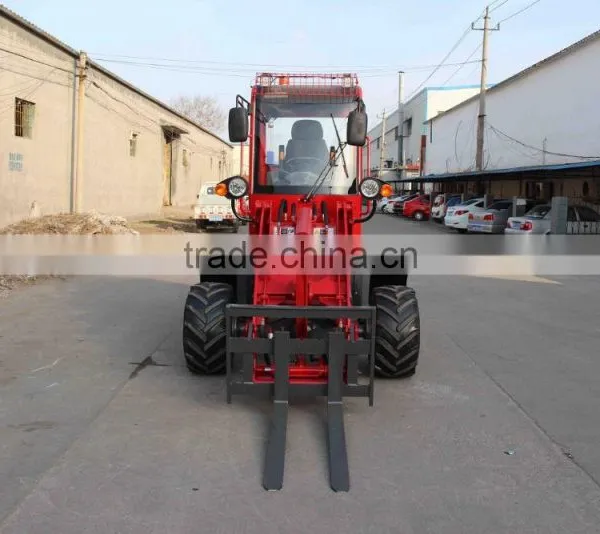 Zl910 Top Quailty Best Price Mini Loader photo-2