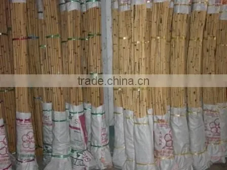 Raw Manau Rattan Cane Roots photo-3