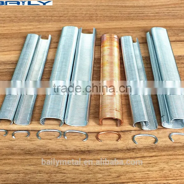 Factory Supply 15Ga or 16Ga Hog Ring CL24 Nails photo-2
