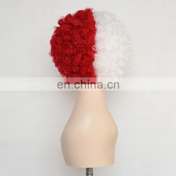 Switzerland Afro Kinky Fan Wig FGW-0026 photo-5
