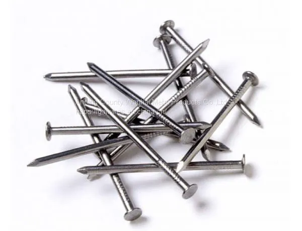 Common Round Nail photo-2
