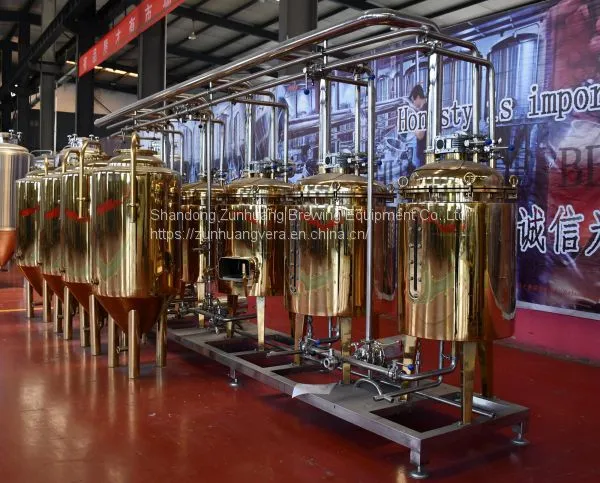 300L/ 2BBL Titanium Plating Stainless Steel Beer Fermentation Tank Beer Fermenter photo-2