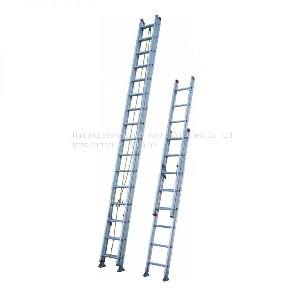Aluminum Alloy High Strength Square Pipe Vertical Ladder Lcs500sal1 Gold Anchor Aluminum Alloy Ladder photo-2