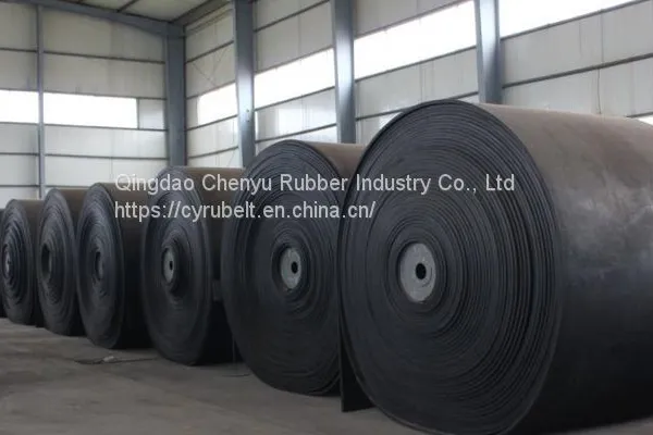 Heat Resistant Conveyor Belt / EP Conveyor Belt/ Conveyor Belt photo-2