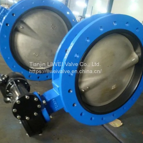 U Type Butterfly Valve
