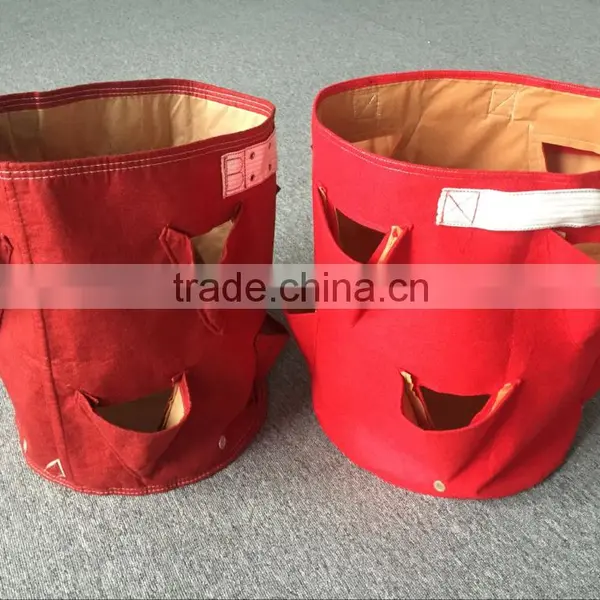 Garden Grow Bag/ Planter Grow Bag/strawberry Grow Bag photo-3