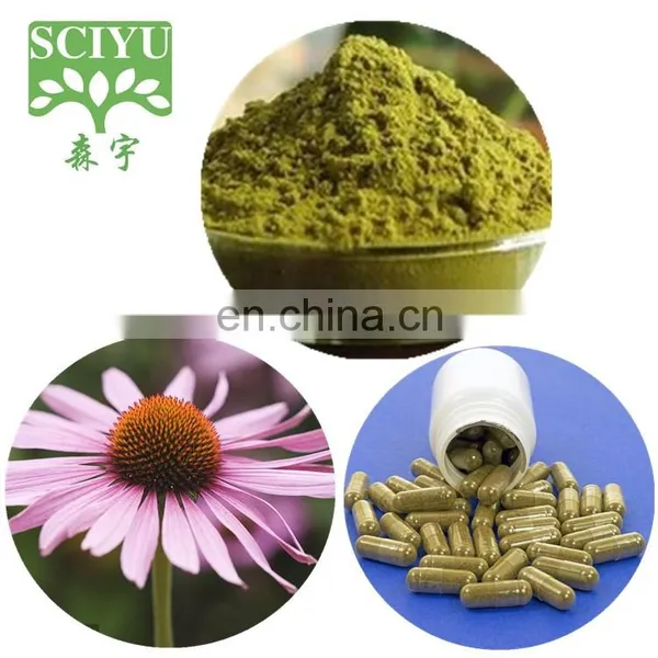 Bulk 4% Polyphenol Echinacea Purpurea Extract Powder photo-4