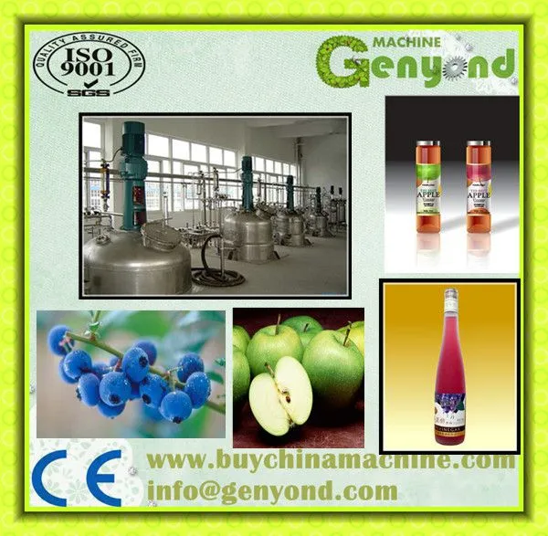 Factory Shanghai Genyond Fruit Wine Fermentation Equipment Making Machine Fruit Vinegar Production Plant Process Line photo-3