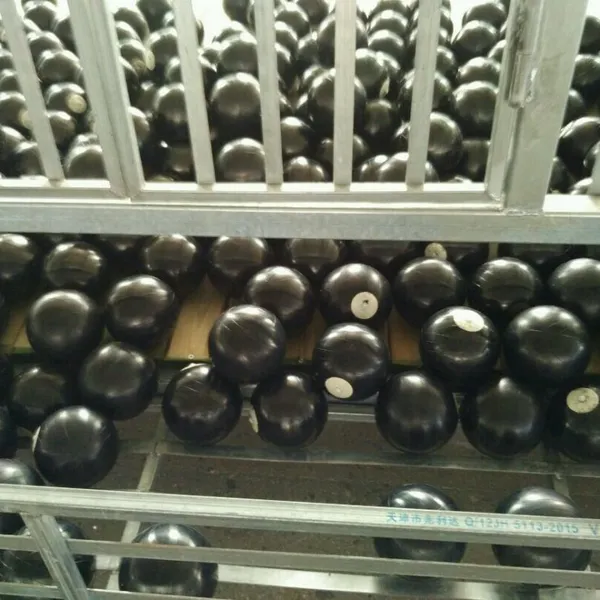 Custom Butyl Rubber Bladders for Soccer Balls, Footballs