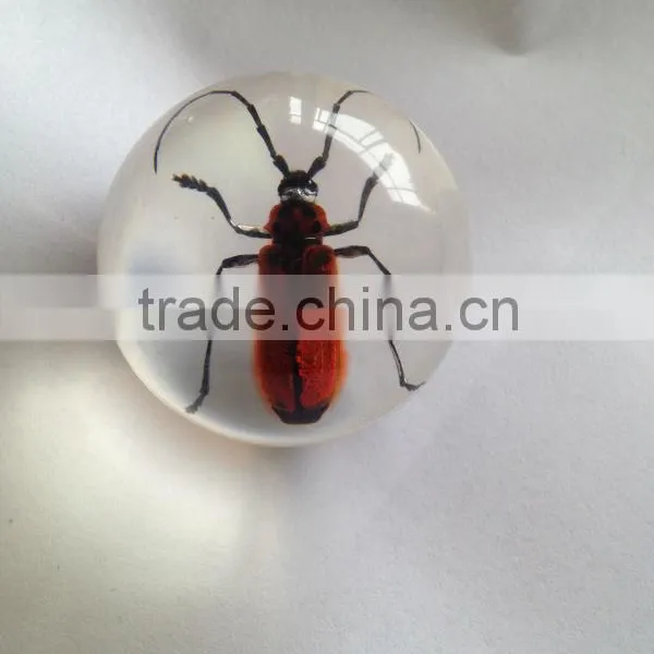 Hot Selling Small Crystal Ball With Real Ember Embedded for Promotional Gift photo-3
