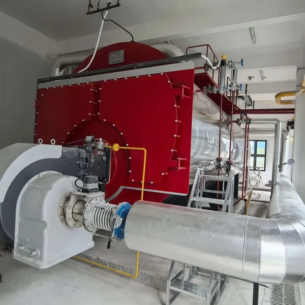 PLC Fully Automatic Control Automatic Feeding System. Source Manufacturers Can Customize Steam Boilers According to Working Conditions