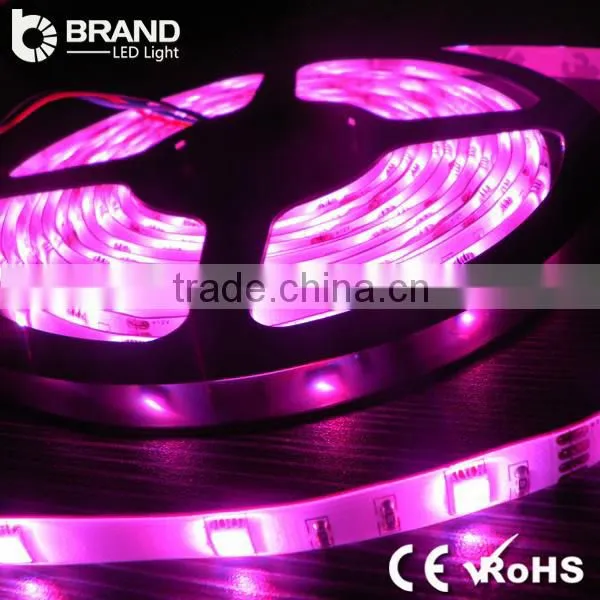 Dimmable 6000K LED Strip Light 60leds LED Strip Light 14.4W/M 12V LED Strip Light photo-6