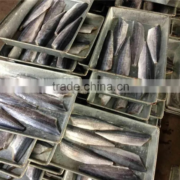 Bone off Frozen Spanish Mackerel Fillet and Scomberomorus Niphonius photo-2