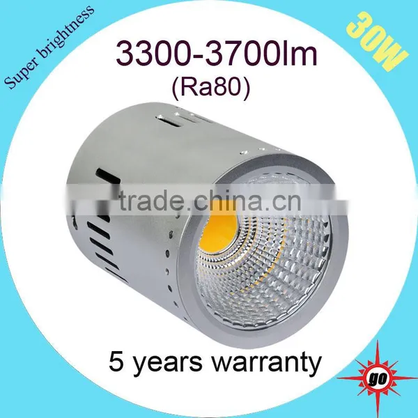 New Design 30w Surface Mounted LED Downlight photo-3