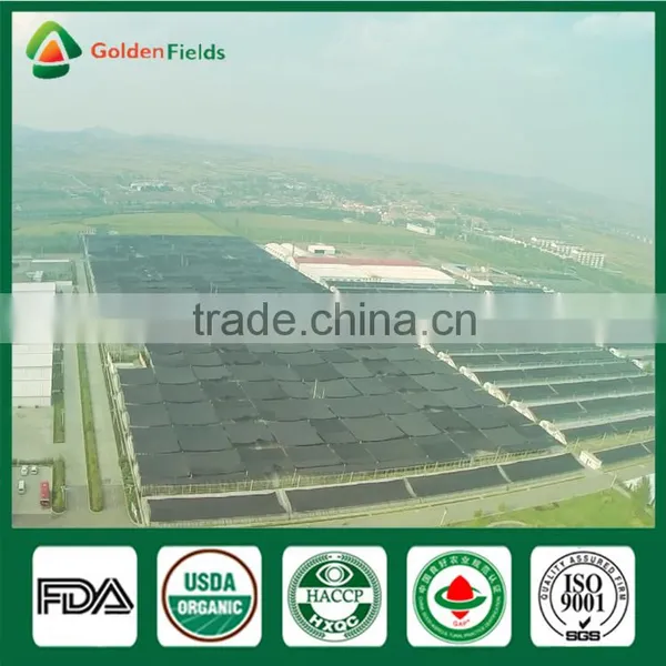 Supplier of Fresh Dried Shiitake Mushroom Growing Shiitake Mushroom Log Spawn for Mushroom Farm photo-6