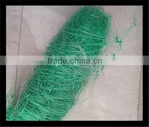 100% PP Plastic Stetching Net for Manufacturing/deer Fence photo-5