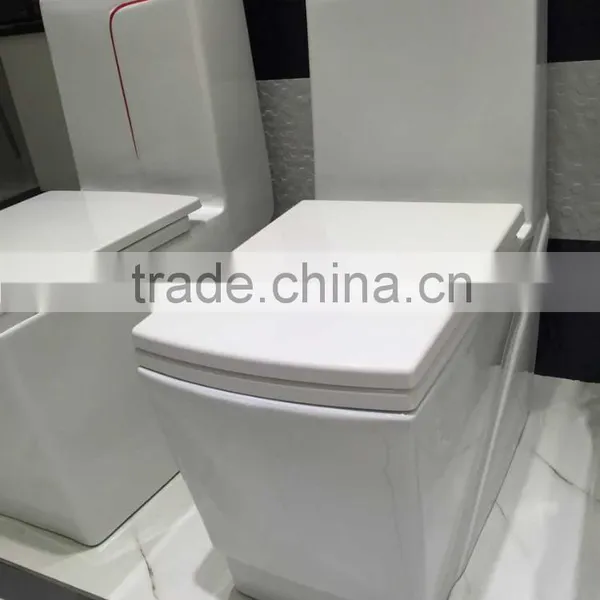 YL-1048 Square Design S-trap Siphonic Flushing One Piece Toilet photo-2