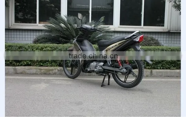 TAURUS Motorcycle photo-3