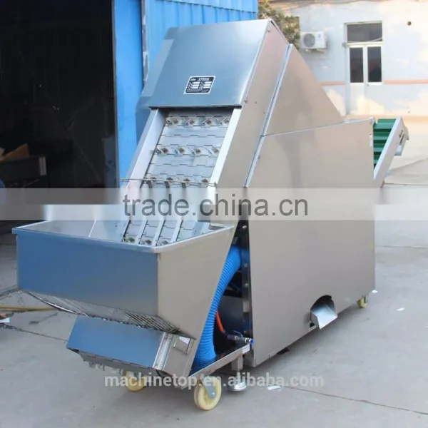 Automatic Baby Onion Skin Peeling Machine
