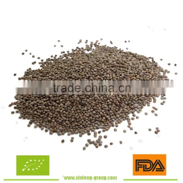 Perilla Seeds