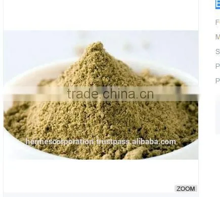 Best Quality Coriandrum Sativum Powder photo-3