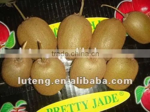 2016 New Crop Chinese Fresh Kiwi Fruits With Good Quality photo-3