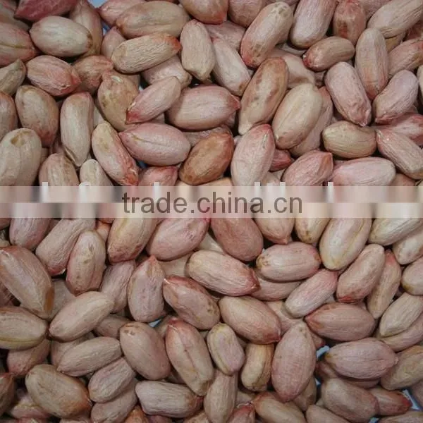 peanut kernel