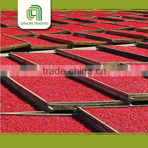 Ningxia Conventional Dried Goji Berries for Sale photo-5