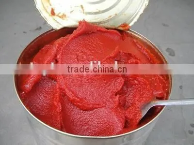 Canned Tomato Paste Gino Roma Brand Tomato Paste Factory photo-5