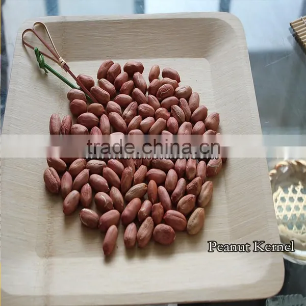 Peanut Kernel photo-6