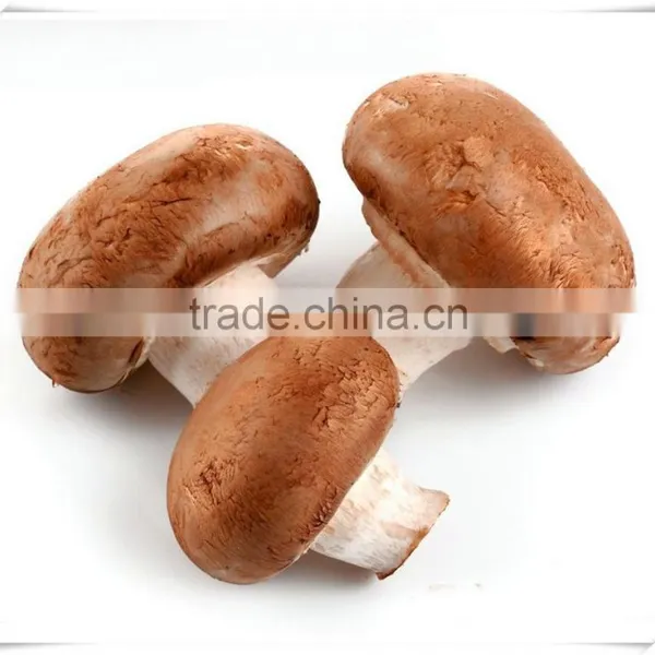 Best Selling Fresh Frozen Shiitake Mushroom