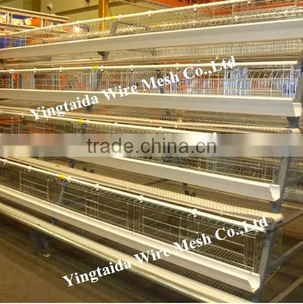 Automatic Chicke Cage Layer for Poultry Equipment in Chiken Farm photo-2