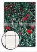 Climbing Plant Support Mesh Plastic Garden Net photo-5