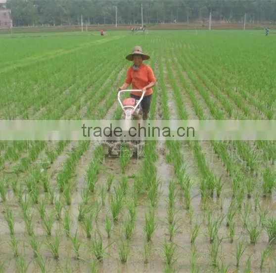 Small Weeder for Paddy Field photo-2