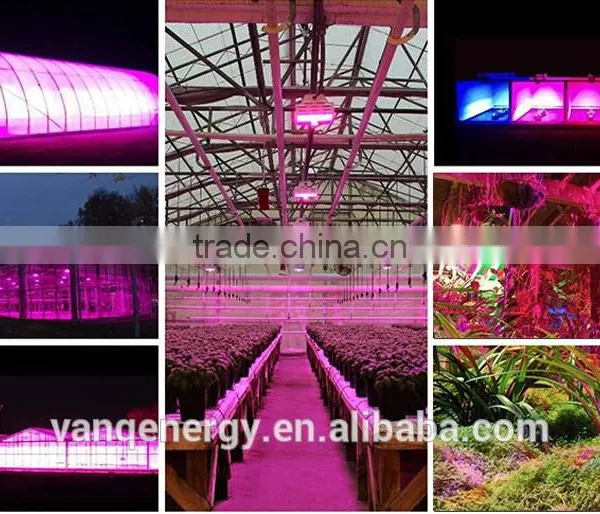 Wifi Controller LED Grow Light 30w For Greenhouse Project New Technolgy Smart LED Lighting