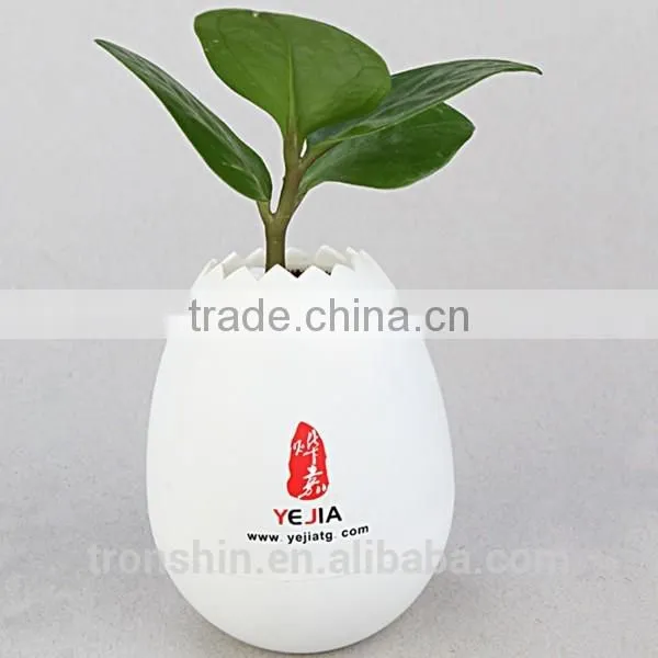 For 2015 Promotional Gift Mini Eggshell Flower Pot Plastic Injection Mould Parts photo-3