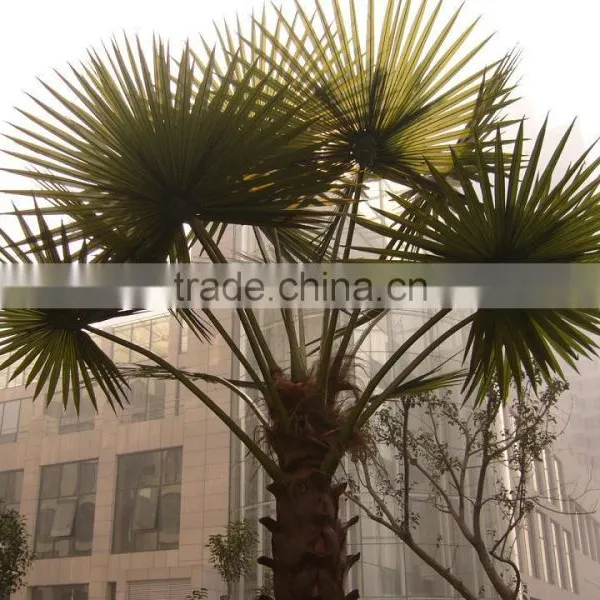 Newest Design Top Quality Artificial Palm Tree Leaves photo-4